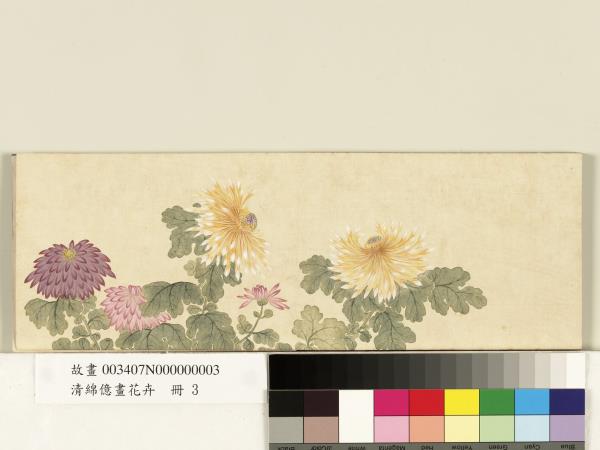 清綿億畫花卉　冊　菊花