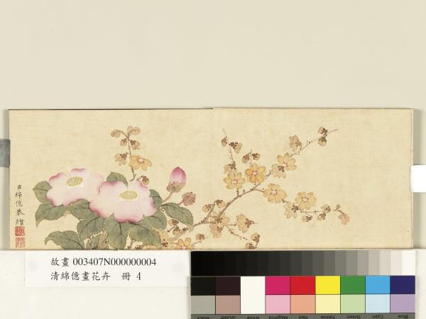 清綿億畫花卉　冊　臘梅茶花