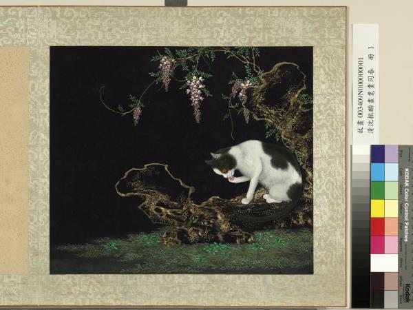 清沈振麟畫耄耋同春　冊　紫藤貍奴