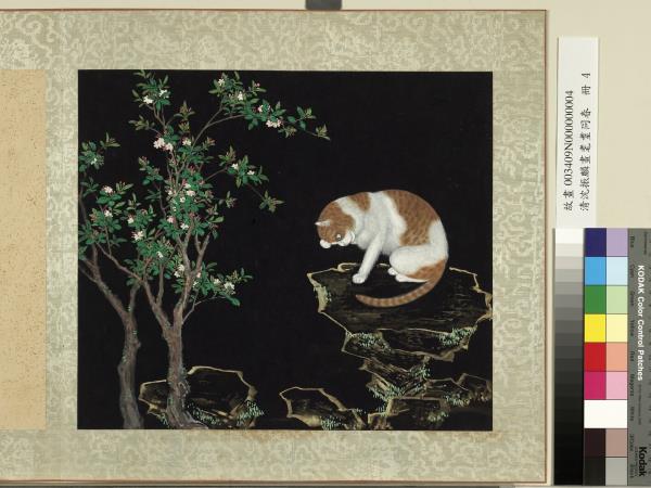 清沈振麟畫耄耋同春　冊　海棠貍奴