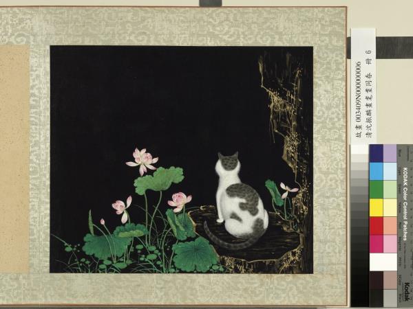 清沈振麟畫耄耋同春　冊　蓮花貍奴