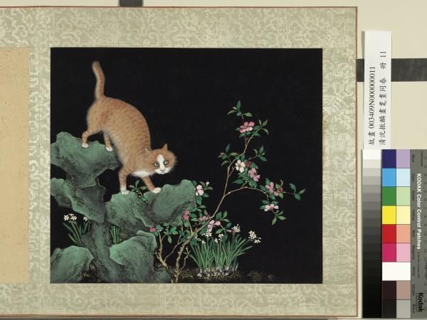 清沈振麟畫耄耋同春　冊　水仙貍奴