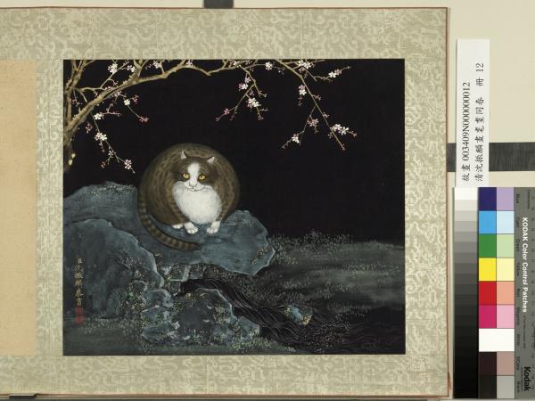 清沈振麟畫耄耋同春　冊　紅梅貍奴