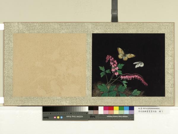 清沈振麟畫耄耋同春　冊　魚兒牡丹