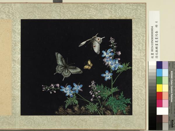 清沈振麟畫耄耋同春　冊　花蝶