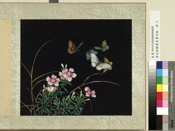 清沈振麟畫耄耋同春　冊　剪秋羅