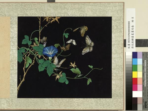 清沈振麟畫耄耋同春　冊　牽牛花