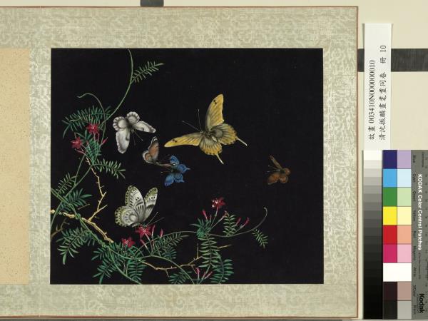 清沈振麟畫耄耋同春　冊　蔦蘿