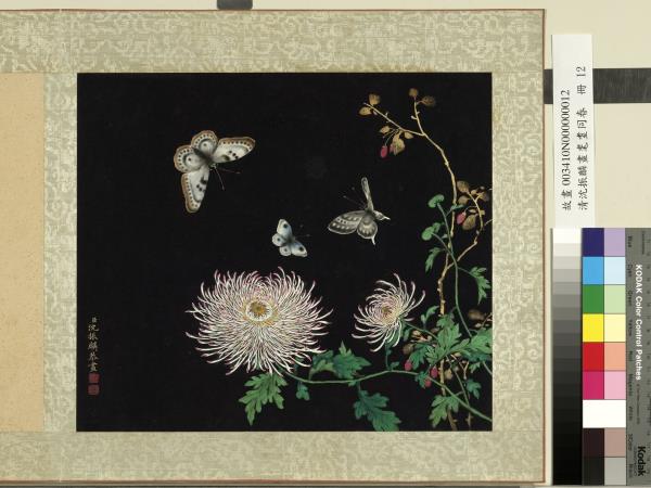 清沈振麟畫耄耋同春　冊　菊花