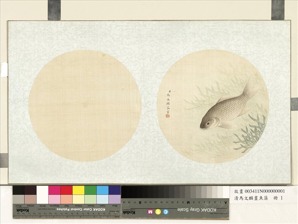 清馬文麟畫魚藻　冊　鯽魚