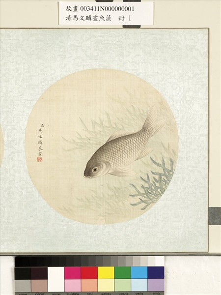 清馬文麟畫魚藻　冊　鯽魚