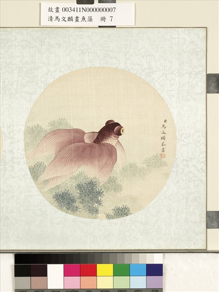清馬文麟畫魚藻　冊　金魚