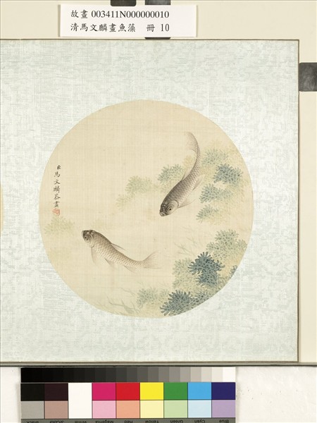 清馬文麟畫魚藻　冊　魚藻