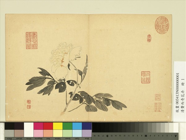 清費而奇花卉　冊　牡丹