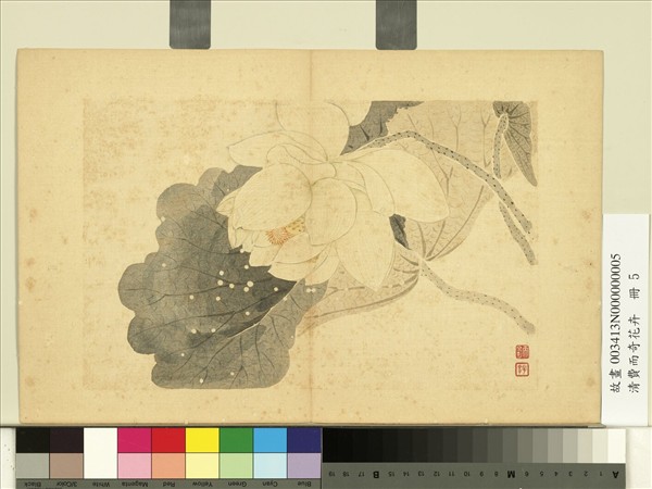 清費而奇花卉　冊　荷花