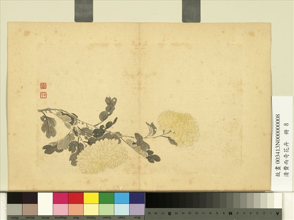 清費而奇花卉　冊　菊花