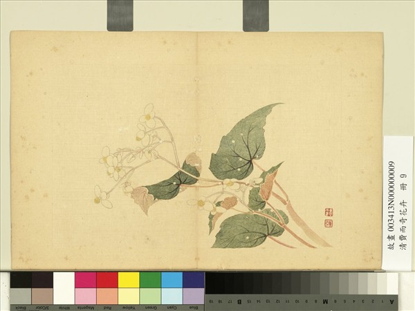 清費而奇花卉　冊　海棠