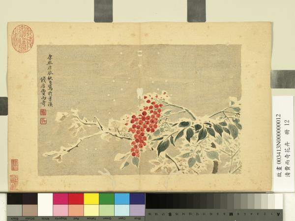 清費而奇花卉　冊　南天竺