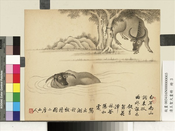 清王聖火畫冊　冊　湖村牧犢