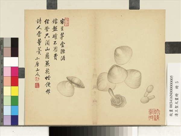 清王聖火畫冊　冊　花蛤