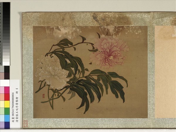 清黃慎王旼序榮集繪　冊　芍藥