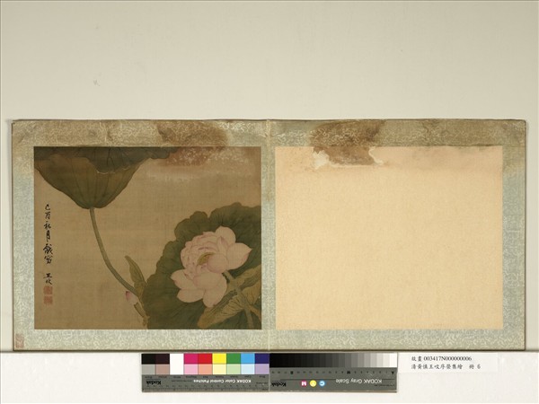 清黃慎王旼序榮集繪　冊　荷花