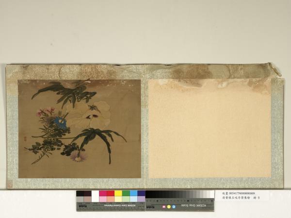 清黃慎王旼序榮集繪　冊　秋葵