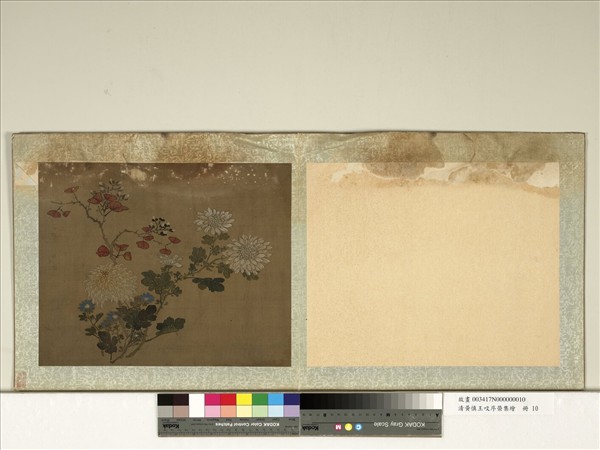 清黃慎王旼序榮集繪　冊　菊