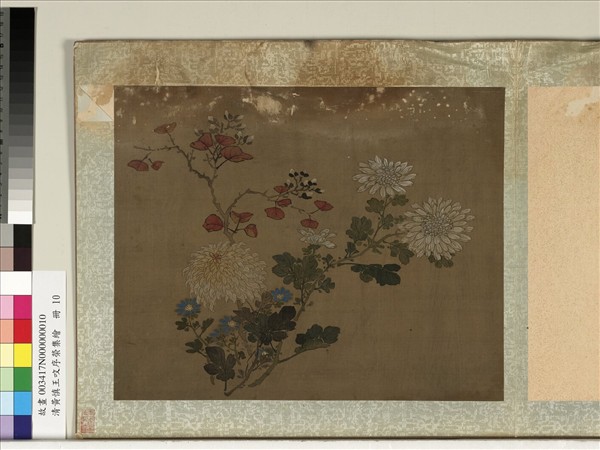 清黃慎王旼序榮集繪　冊　菊