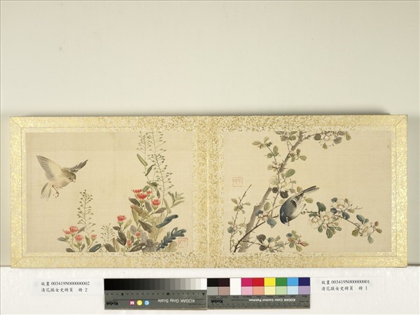 清花蹊女史冊頁　冊　花卉翎毛