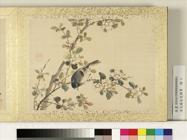 清花蹊女史冊頁　冊　花卉翎毛