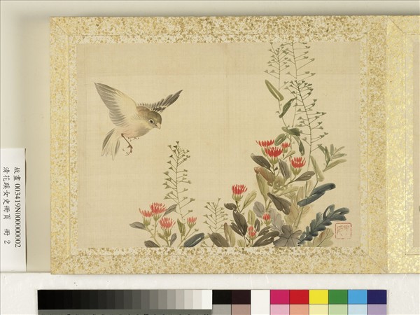 清花蹊女史冊頁　冊　花卉翎毛