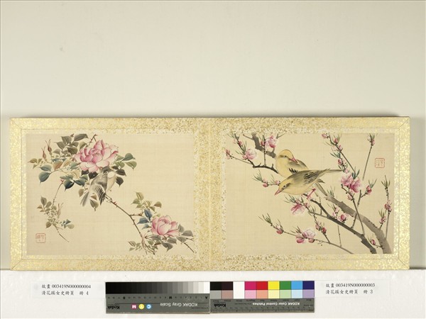 清花蹊女史冊頁　冊　桃花黃鸝