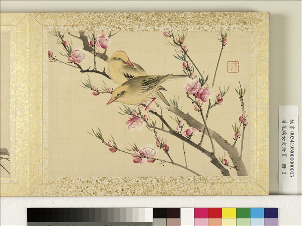 清花蹊女史冊頁　冊　桃花黃鸝