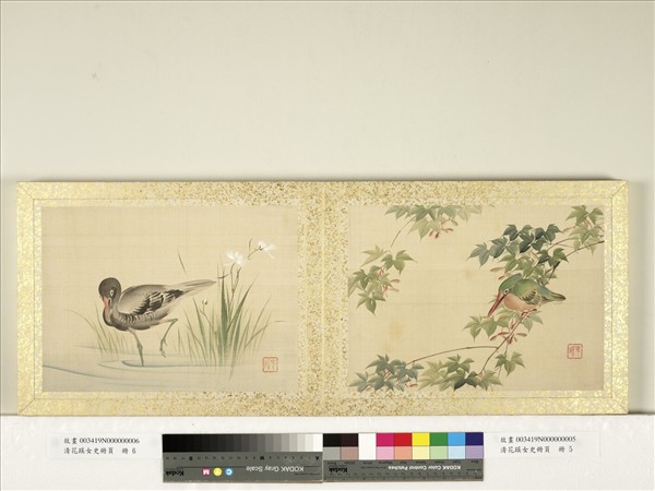 清花蹊女史冊頁　冊　鷭鳥