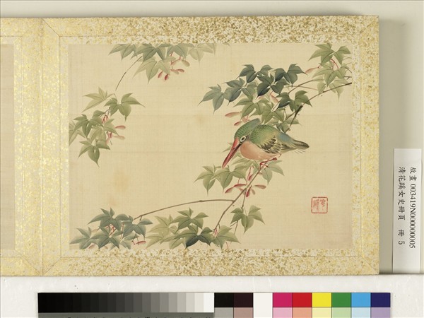 清花蹊女史冊頁　冊　鷭鳥