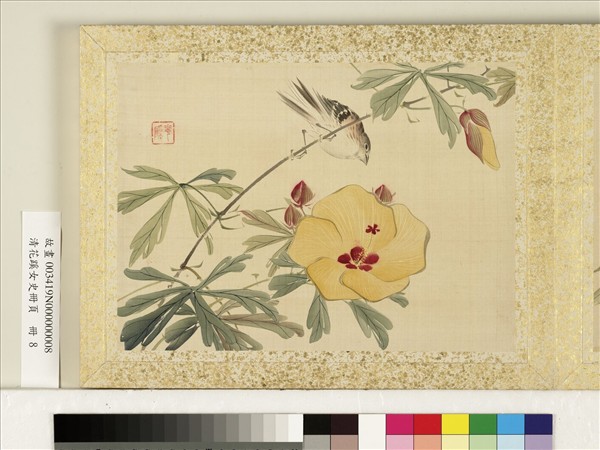 清花蹊女史冊頁　冊　秋葵山雀