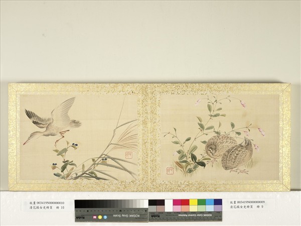 清花蹊女史冊頁　冊　蘆葦夜鷺