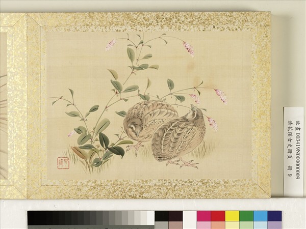 清花蹊女史冊頁　冊　蘆葦夜鷺