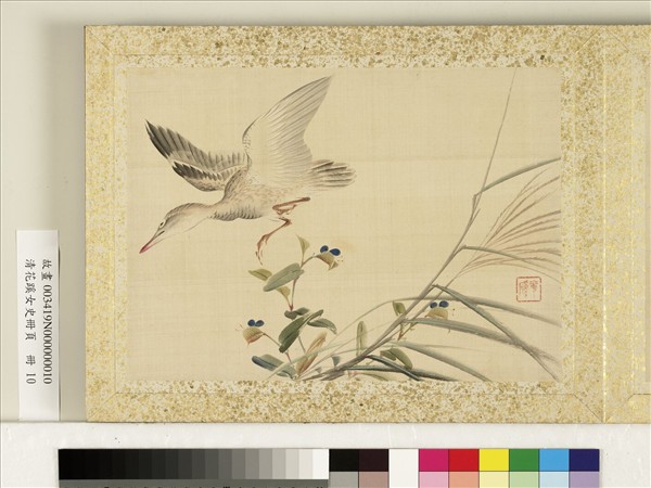 清花蹊女史冊頁　冊　蘆葦夜鷺