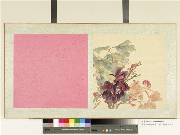 清李培雨畫牡丹　冊　牡丹（一）