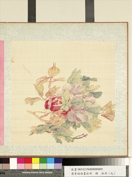 清李培雨畫牡丹　冊　牡丹（九）