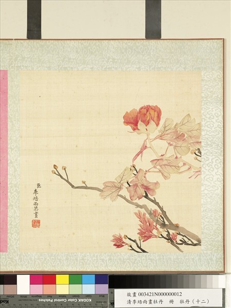 清李培雨畫牡丹　冊　牡丹（十二）