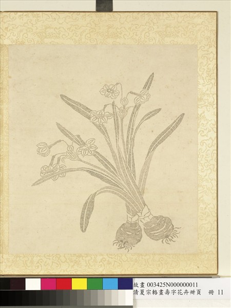 清夏宗輅畫壽字花卉冊頁　冊　水仙