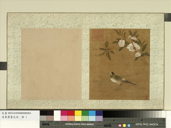 清魯鼐畫花鳥　冊　桃花翎毛