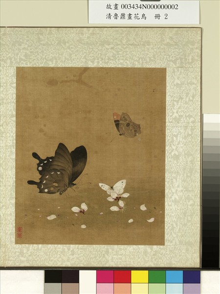 清魯鼐畫花鳥　冊　花蝶