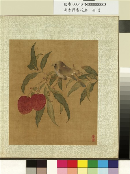 清魯鼐畫花鳥　冊　荔枝翎毛