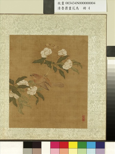 清魯鼐畫花鳥　冊　翎毛