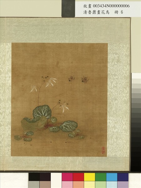 清魯鼐畫花鳥　冊　虎耳草蜂