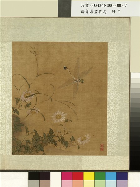 清魯鼐畫花鳥　冊　菊蜻蜓